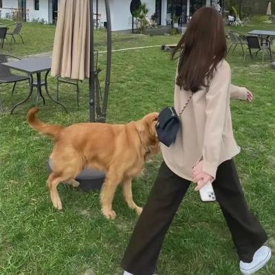 青春向前行